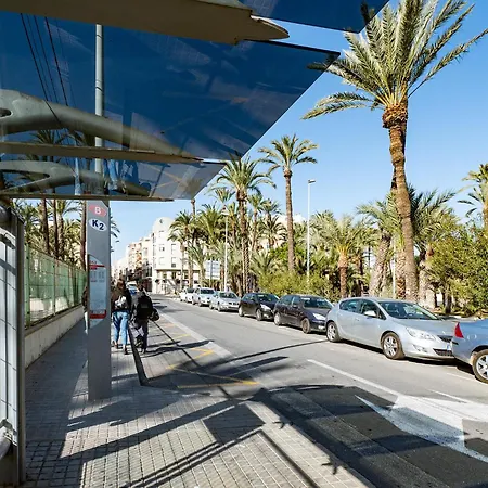 Victoria * Elche